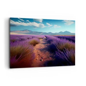 Obraz na plátně - Voňavá pole - 100x70 cm