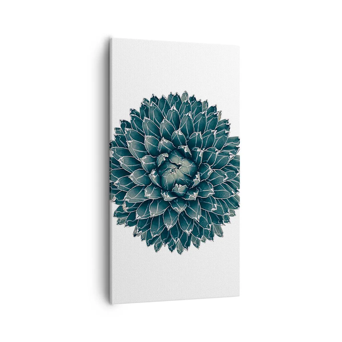 Obraz na plátně - Hvězda pouště - 55x100 cm