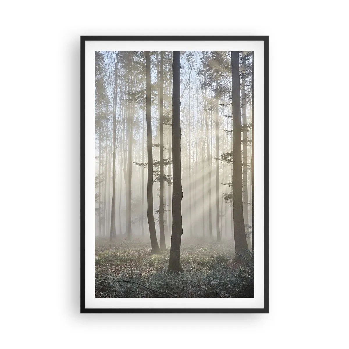 Plakát v černém rámu - Mlha se také vzbudila - 61x91 cm