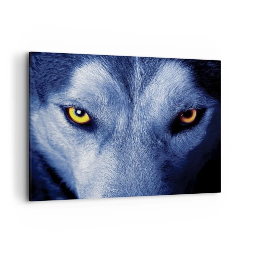 Obraz na plátně - Fascinující pohled - 100x70 cm