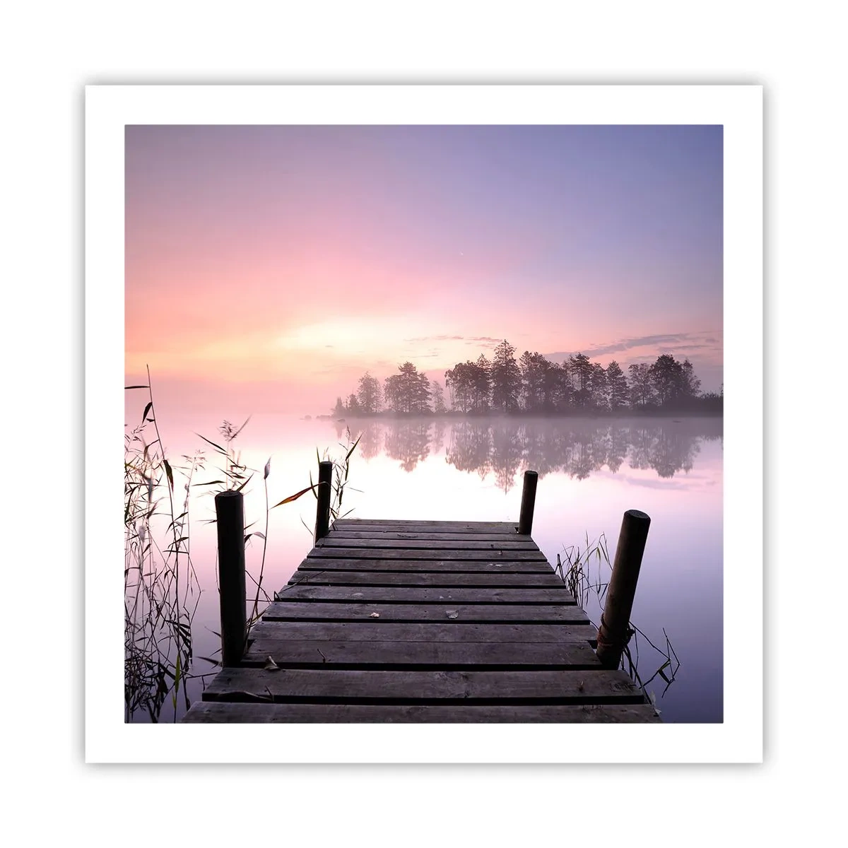 Plakát - Z liliové mlhy… - 60x60 cm