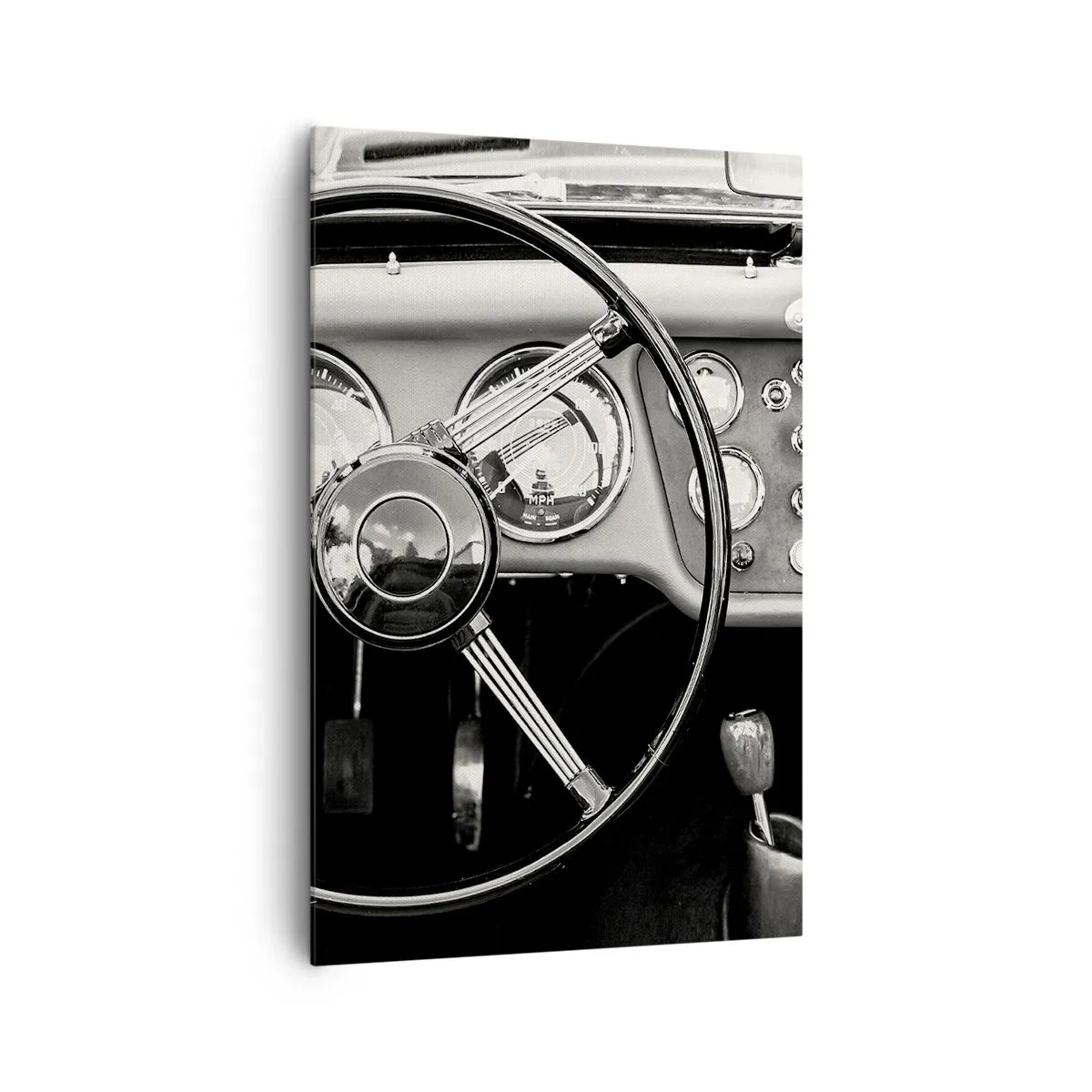 Obraz na plátně - Sen sběratele - 80x120 cm