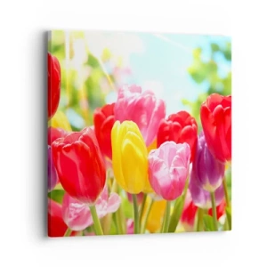 Obraz na plátně - To jsme my, barvy května! - 40x40 cm