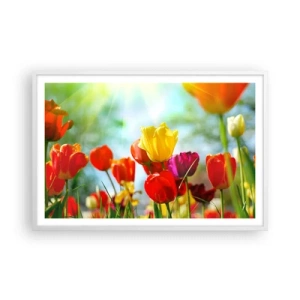 Plakát v bílém rámu - Všechny barvy slunce - 91x61 cm