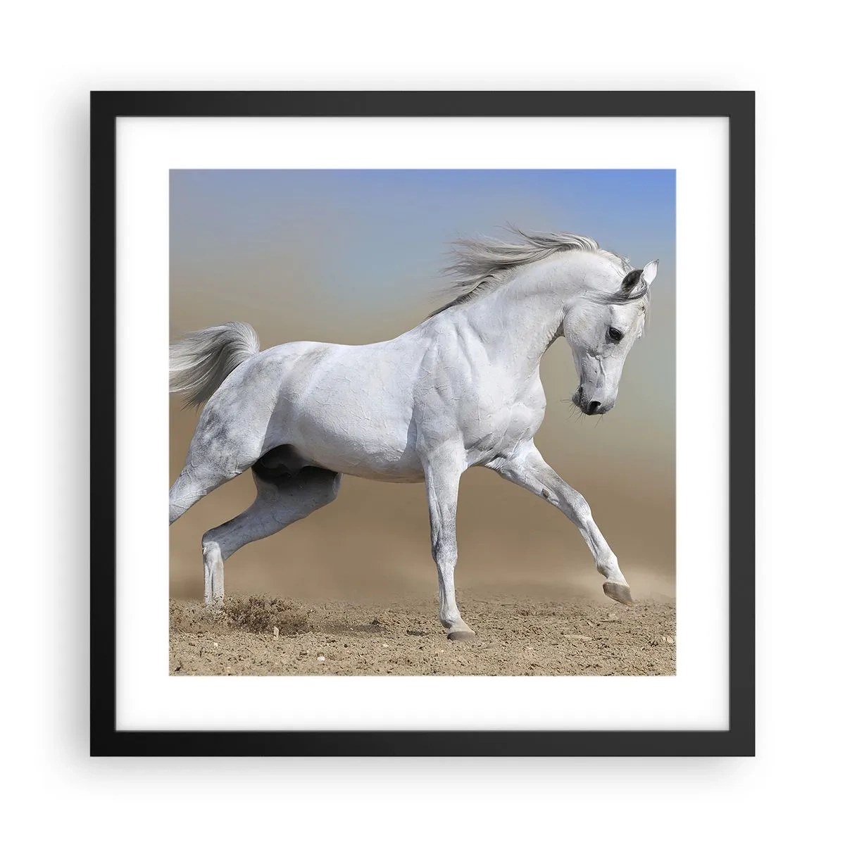 Plakát v černém rámu - Nejkrásnější arabská pohádka - 40x40 cm