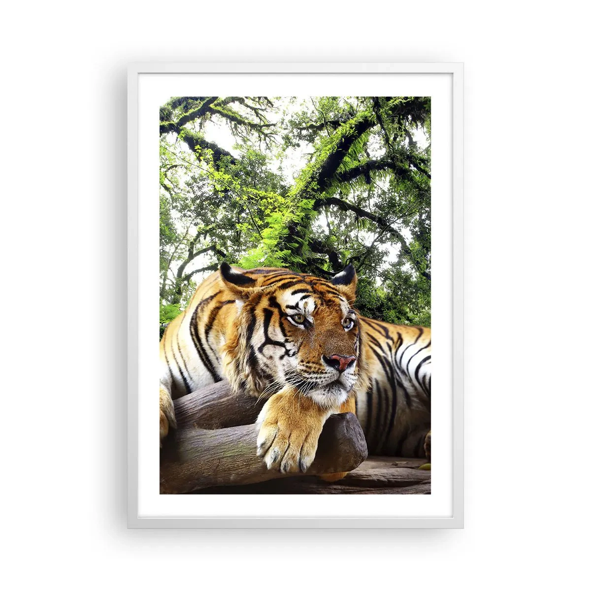 Plakát v bílém rámu - S úctou - 50x70 cm