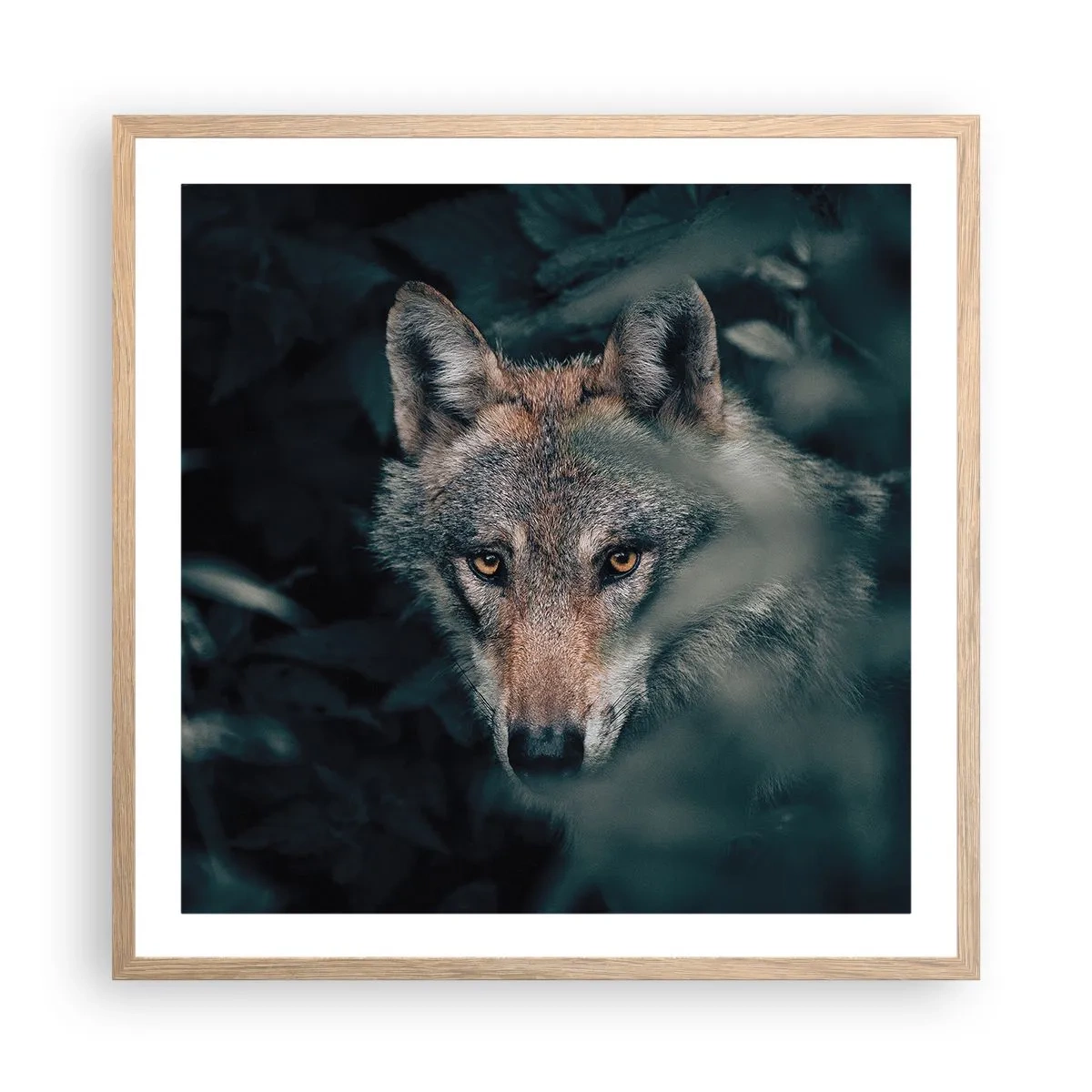 Plakát v rámu světlý dub - Predátor - 60x60 cm