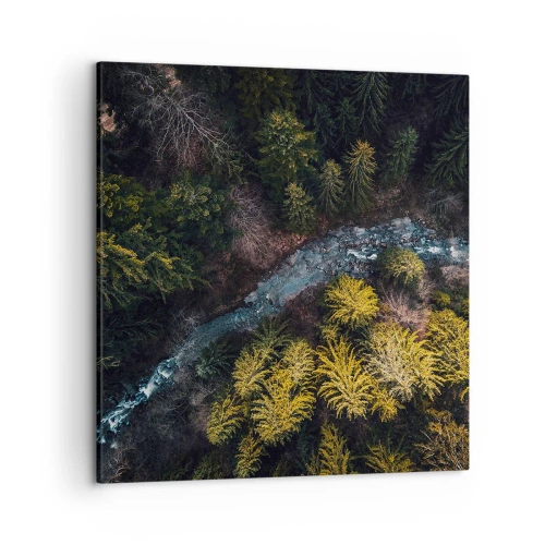 Obraz na plátně - Rychle, stále rychleji - 50x50 cm