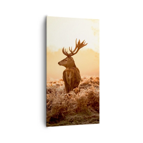 Obraz na plátně - Pán na panství - 65x120 cm