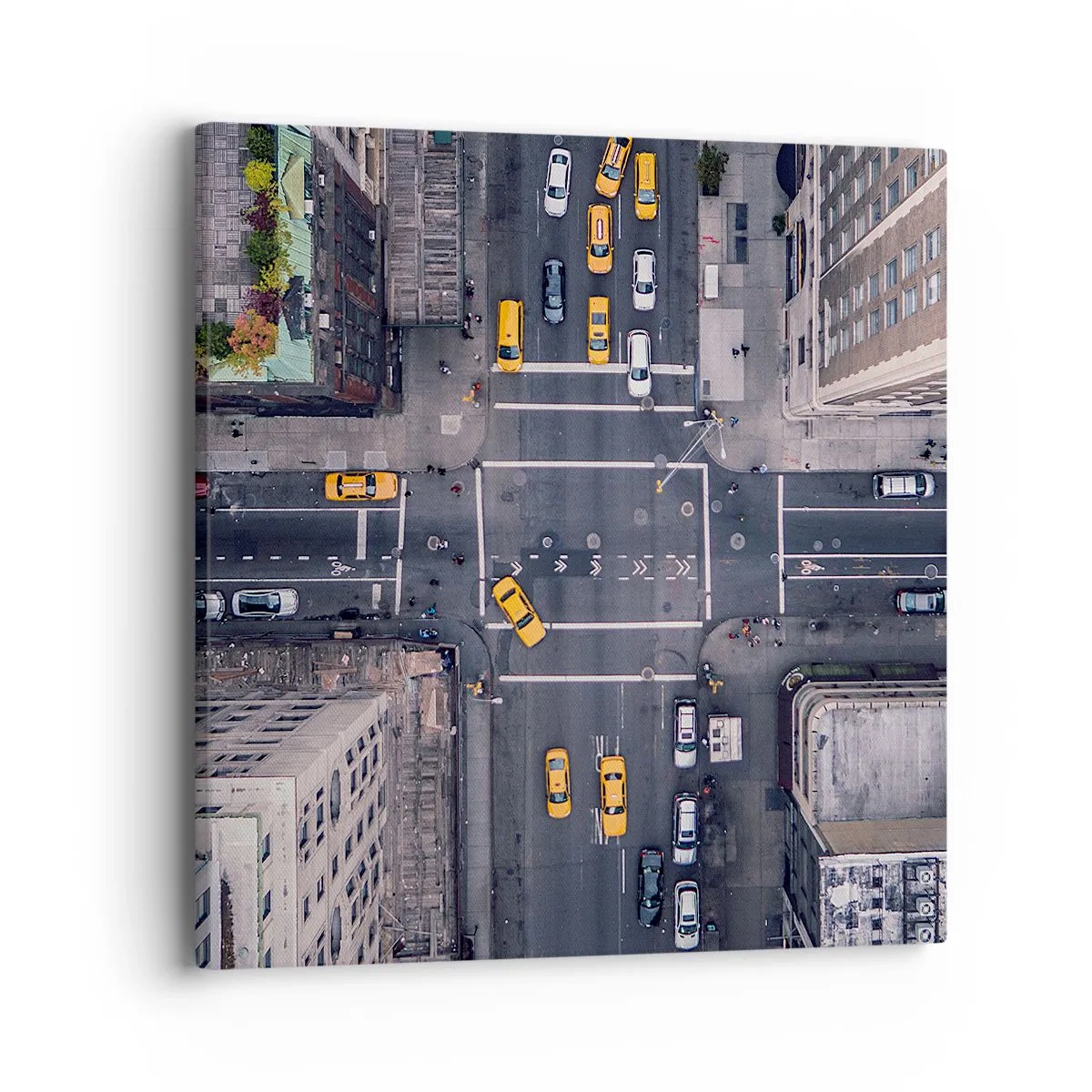 Obraz na plátně - Snadná volba - 40x40 cm