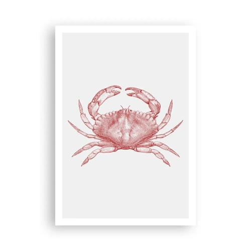 Plakát - Krab nad kraby - 70x100 cm