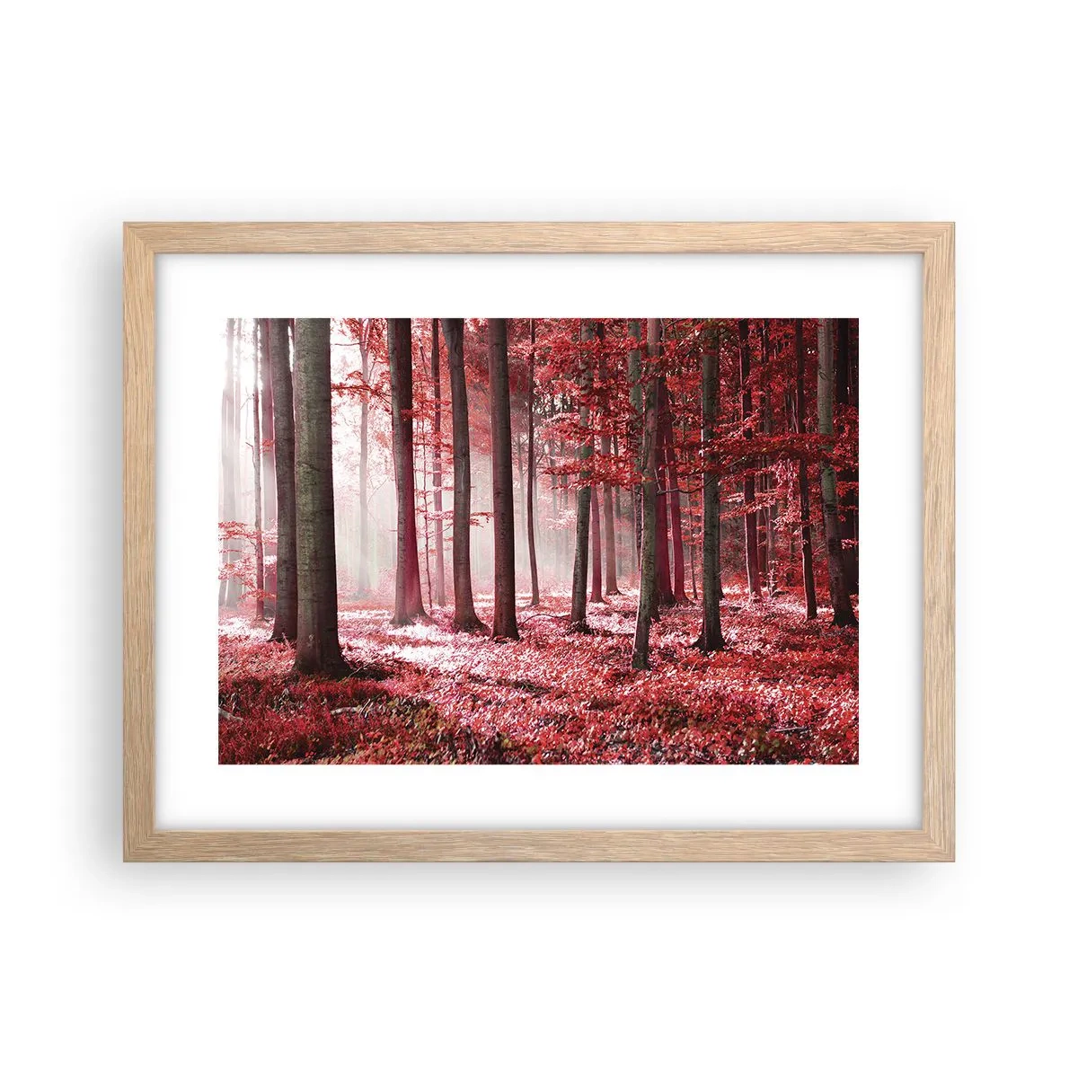 Plakát v rámu světlý dub - Červená je stejně krásná - 40x30 cm