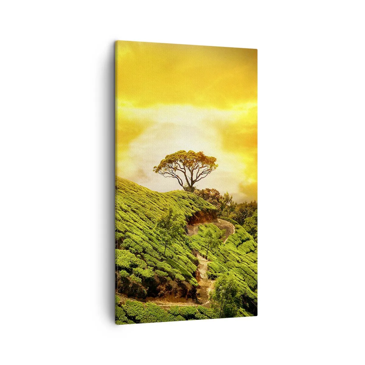 Obraz na plátně - Klikatou stezkou, zeleným úbočím - 45x80 cm