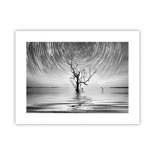 Plakát - Symfonie přírody - 40x30 cm
