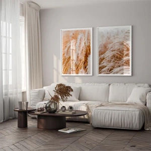 Ornamental grass - Inspirace do obýváku