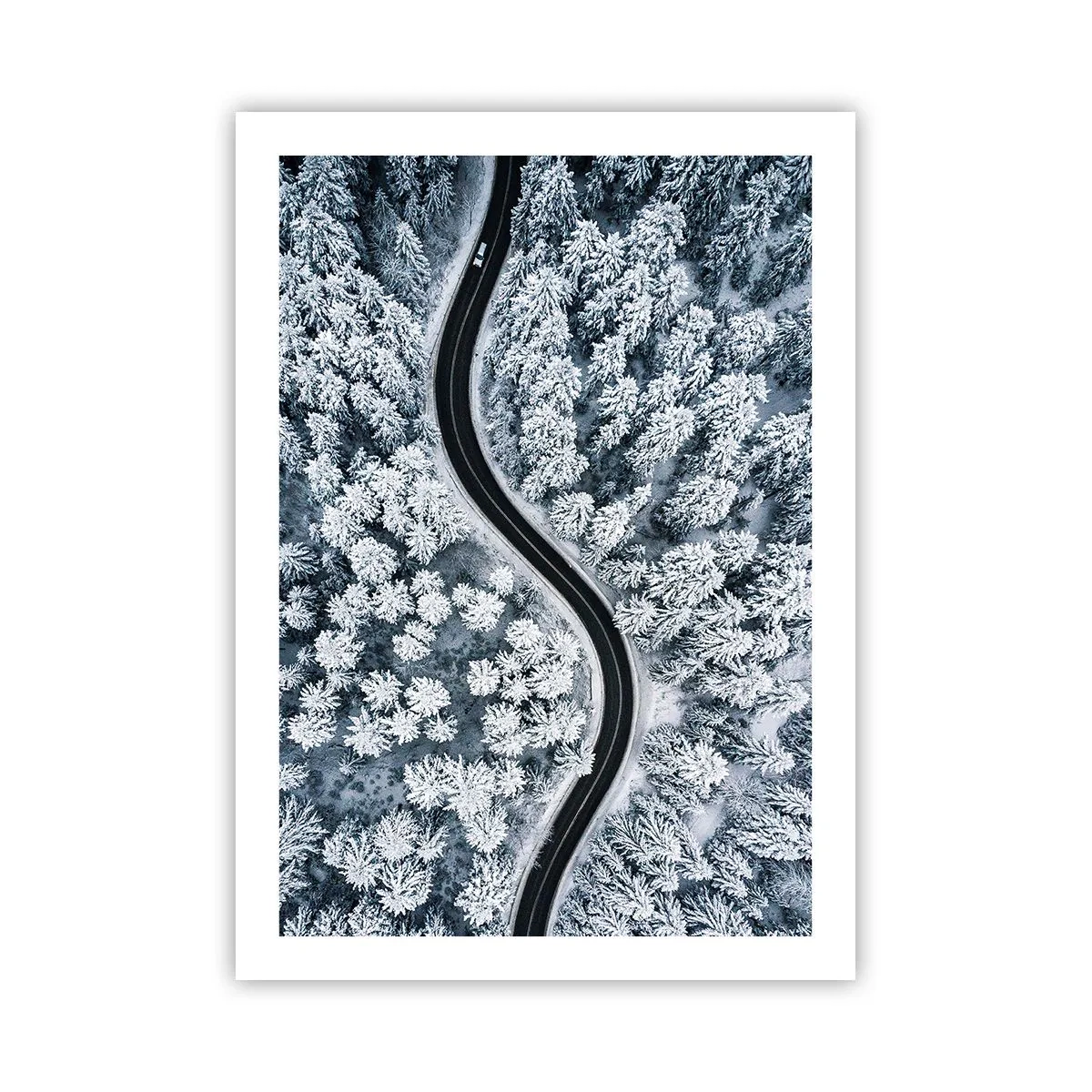 Plakát - Zimním lesem - 50x70 cm