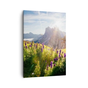 Obraz na plátně - Tajemný život bylin - 50x70 cm