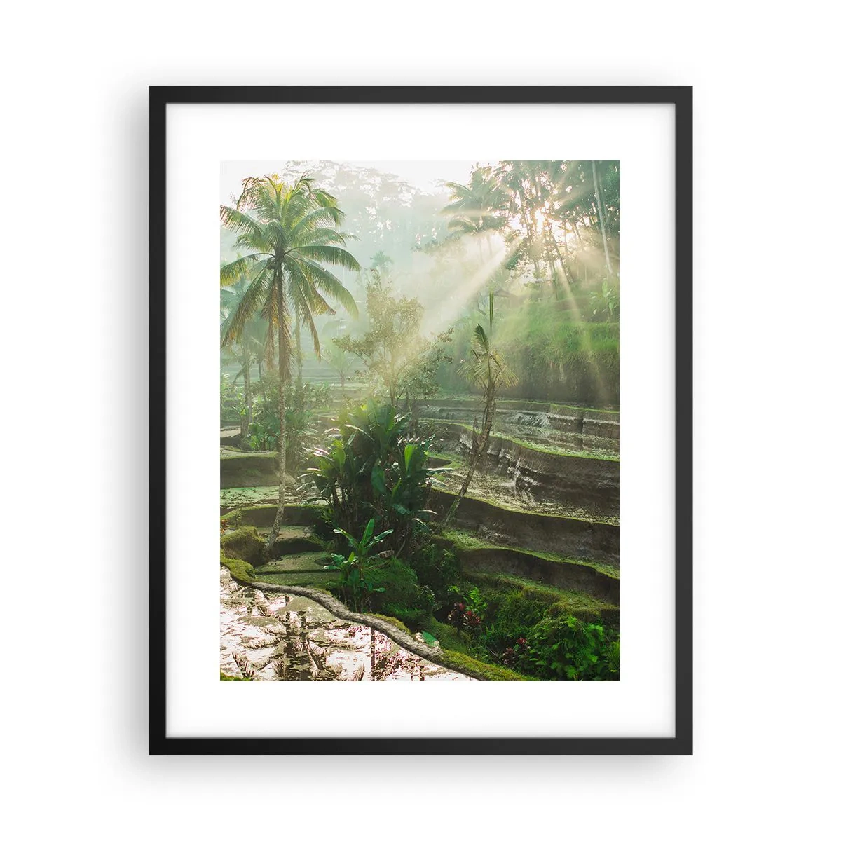 Plakát v černém rámu - Vyrůstát na slunci - 40x50 cm