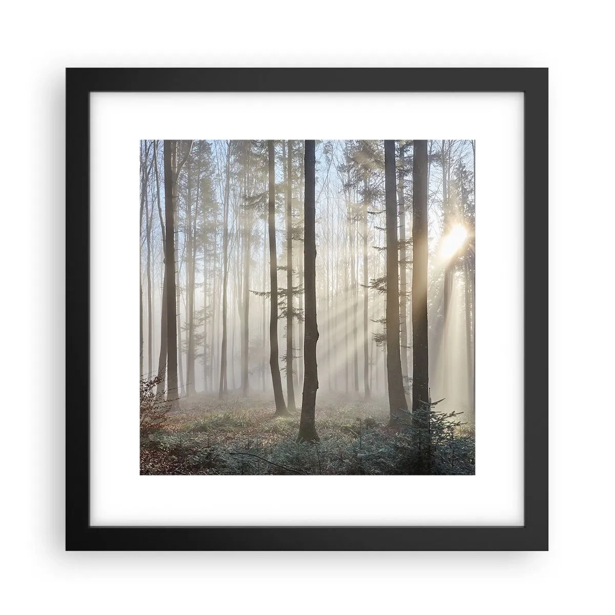 Plakát v černém rámu - Mlha se také vzbudila - 30x30 cm