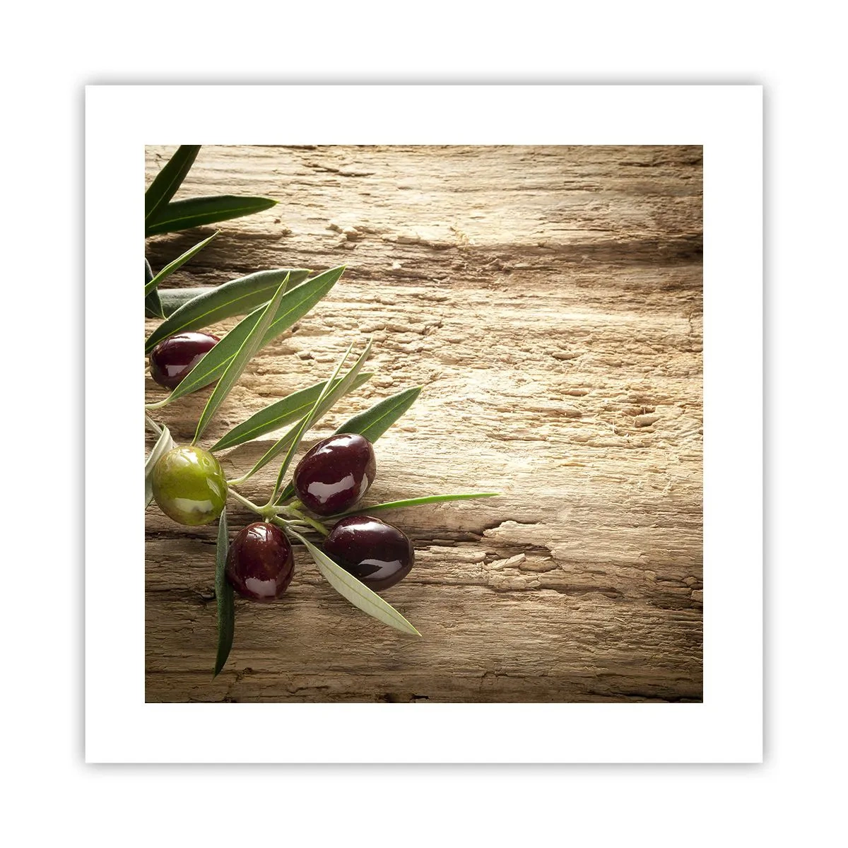 Plakát - Přímo od přírody - 40x40 cm