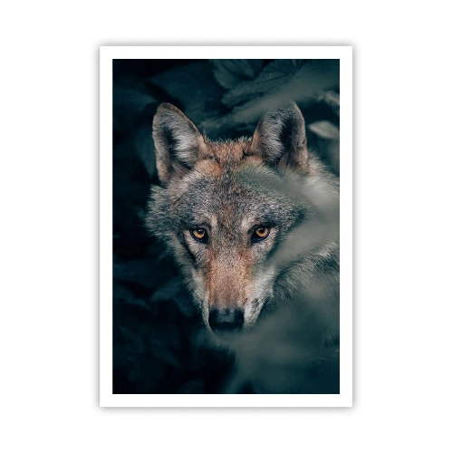 Plakát - Predátor - 70x100 cm