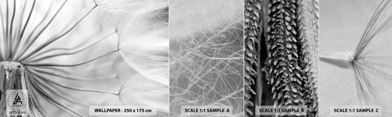 Vzor Fototapety Premium Sand - Pampelišky - Minimalismus, Jemné, Květ - 100x30 cm