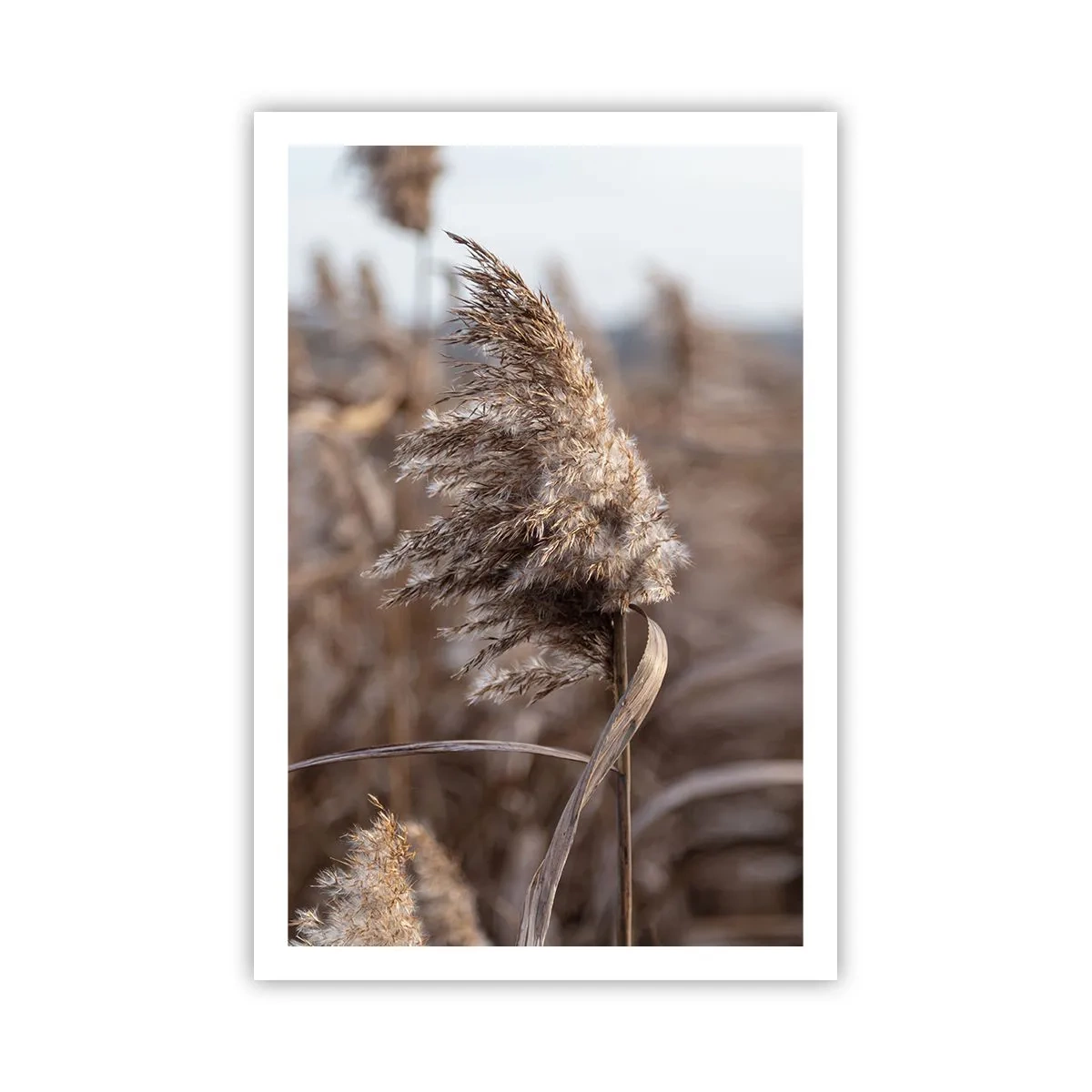 Plakát - Čas odletět s větrem - 61x91 cm