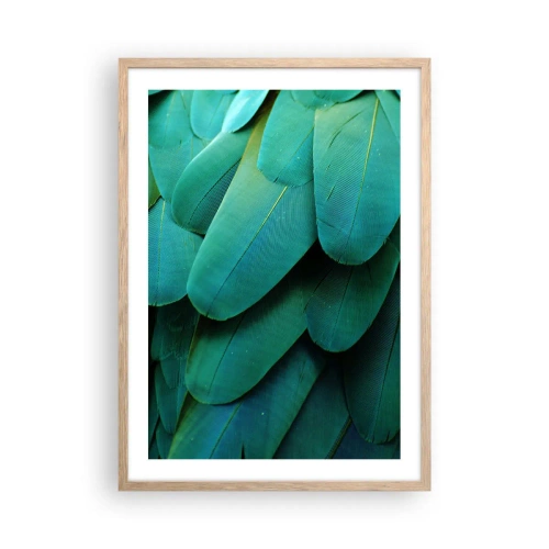 Plakát v rámu světlý dub - Přesnost papouščí povahy - 50x70 cm