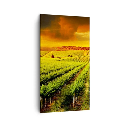 Obraz na plátně - Pod australským sluncem - 45x80 cm