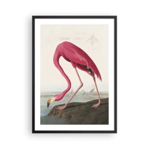 Plakát v černém rámu - Růžový plameňák proti přírodní krajině - 50x70cm - Úžasná stvůra - Moderní nástěnná dekorace do obývacího pokoje a ložnice ARTTOR