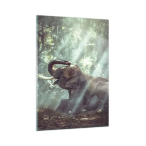 Obraz na skle - A poslouchej tohle… - 50x70 cm