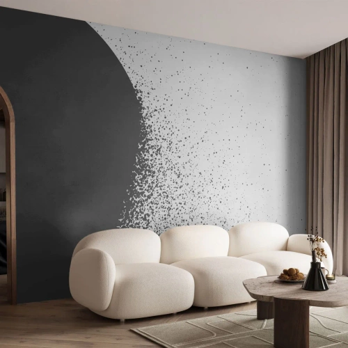 Fototapeta Premium Sand - Pohyb částic - Abstrakce, Černý a bílý, Grafika - 350x256 cm
