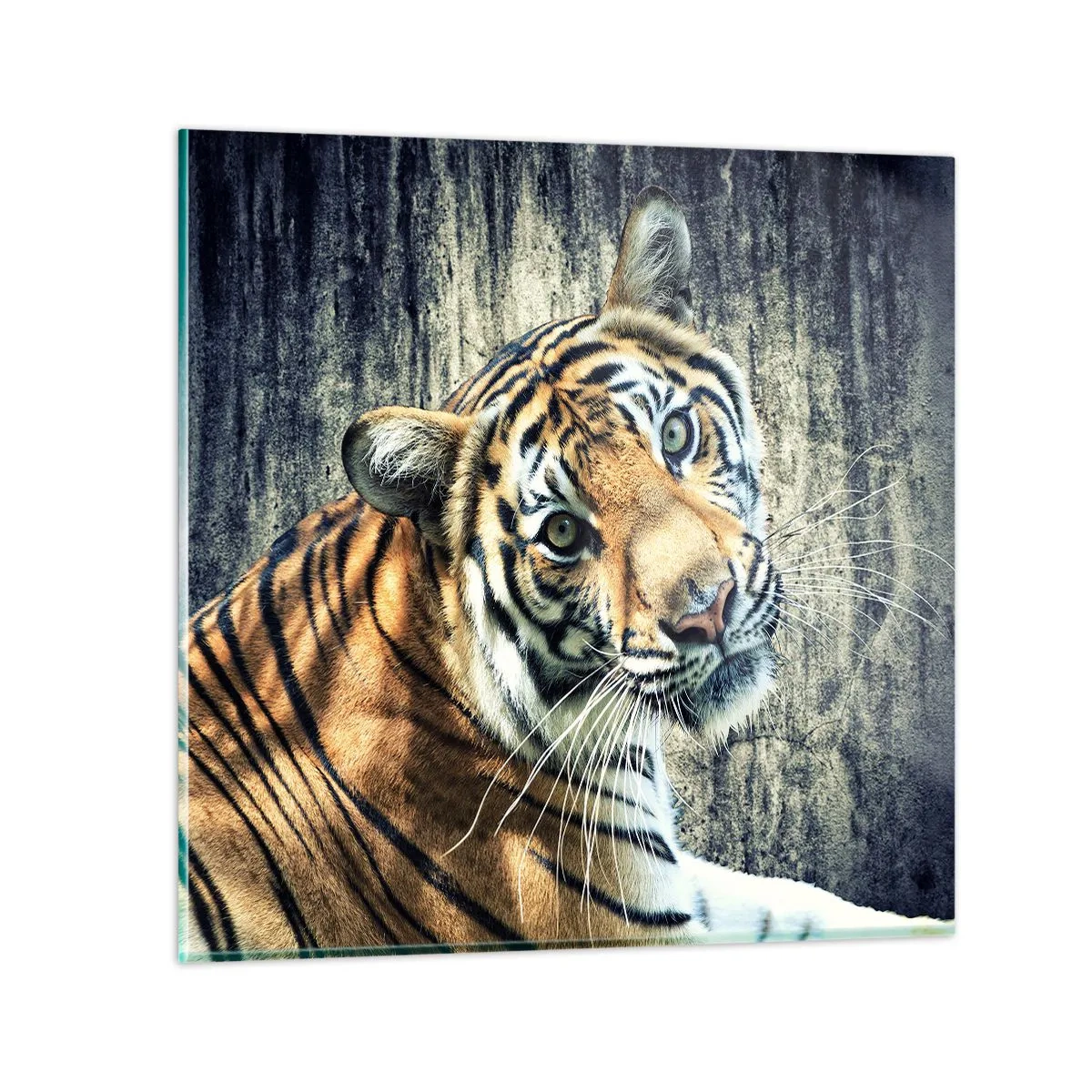 Obraz na skle - Portrét v pramenech světla - 50x50 cm