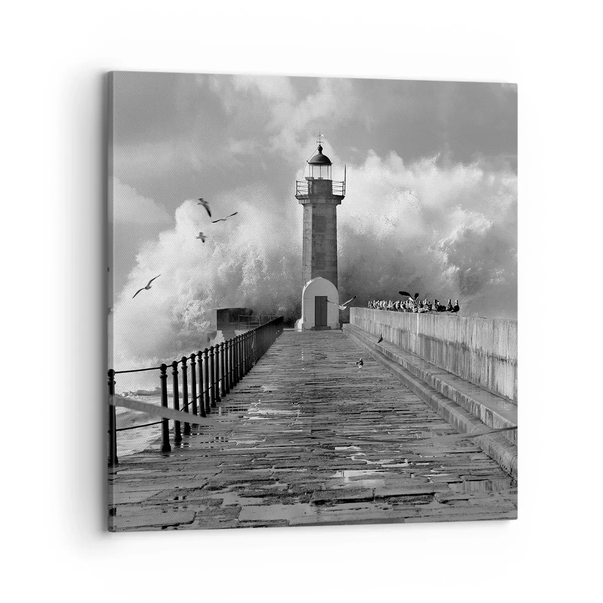 Obraz na plátně - Nebojácná - 70x70 cm