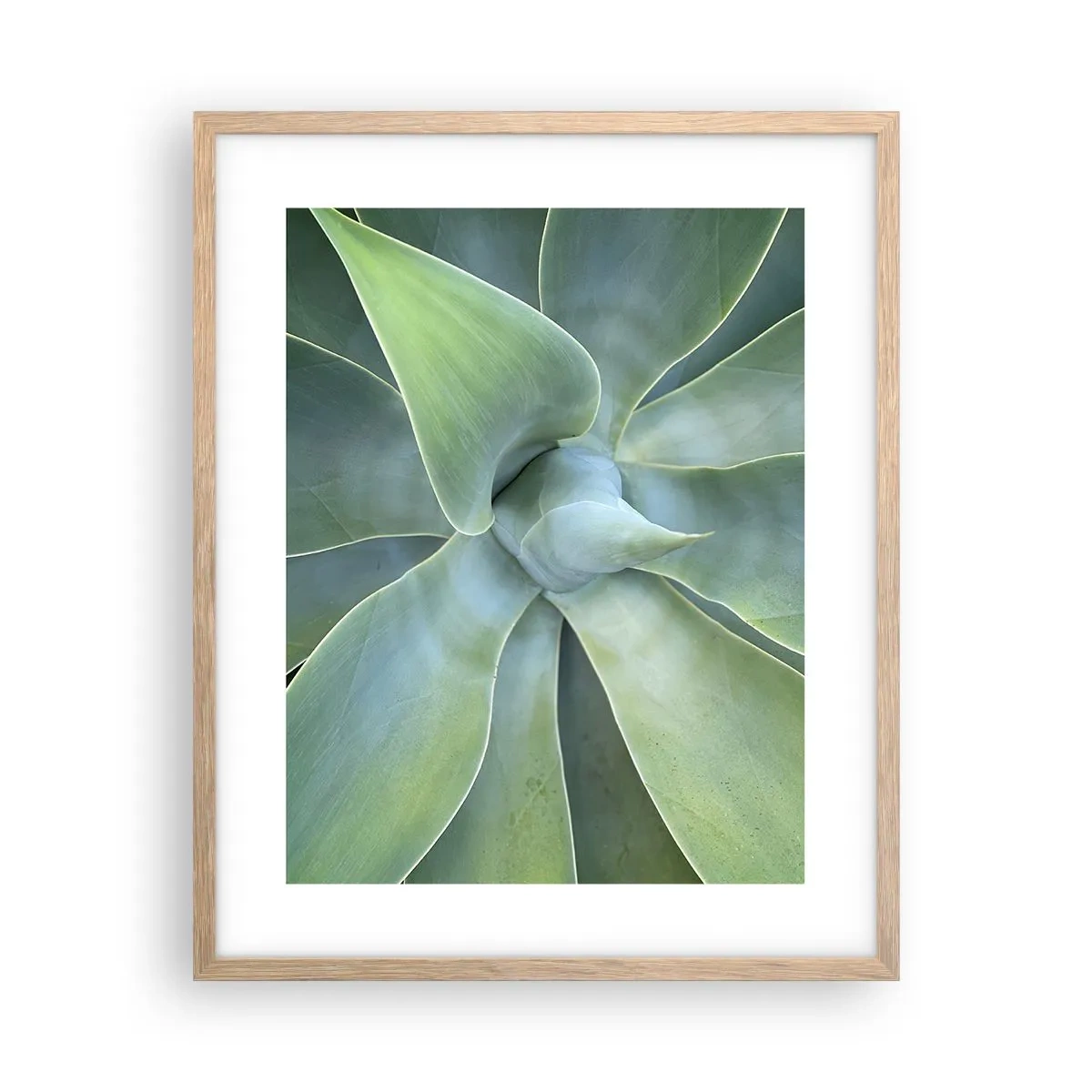 Plakát v rámu světlý dub - Zrození zeleně - 40x50 cm