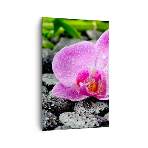 Obraz na plátně - Jako otevřené srdce - 80x120 cm