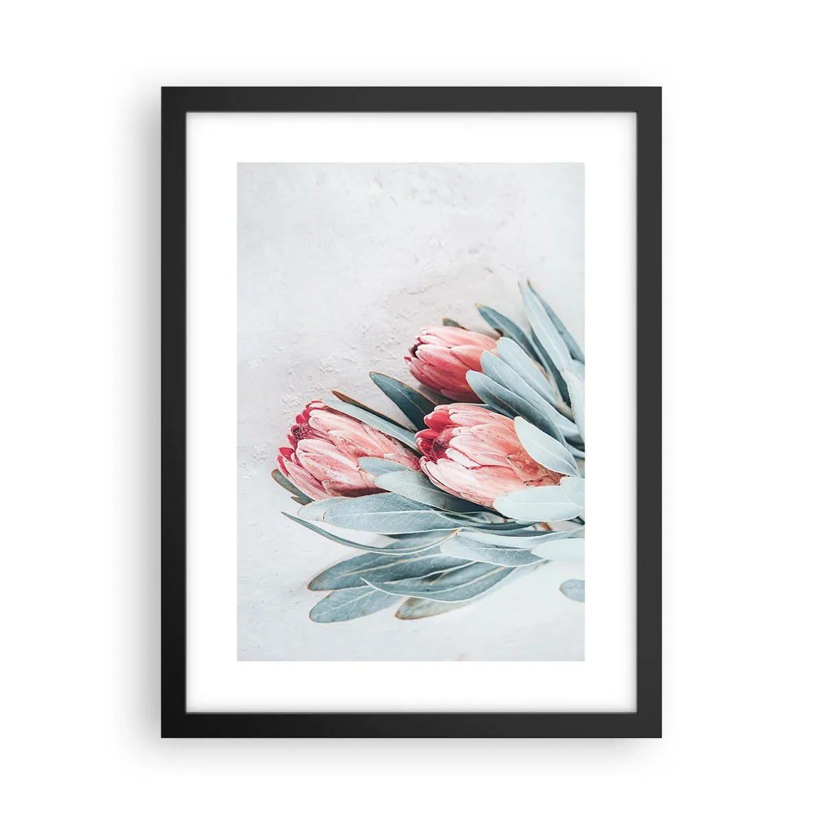 Plakát v černém rámu - Zahanbené svou vlastní krásou - 30x40 cm