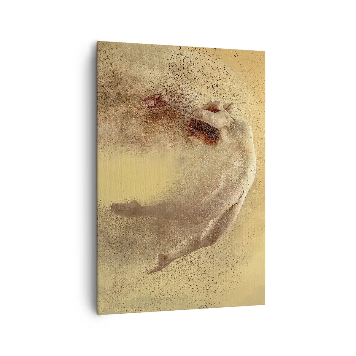 Obraz na plátně - V tanečním vytržení - 70x100 cm