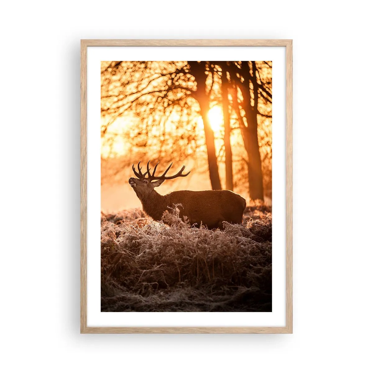 Plakát v rámu světlý dub - Sen myslivce - 50x70 cm