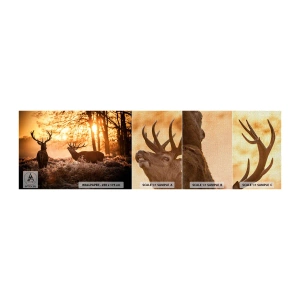 Vzor Fototapety Premium Canvas - Sen myslivce - Krajina, Jelen, Lov - 100x30 cm