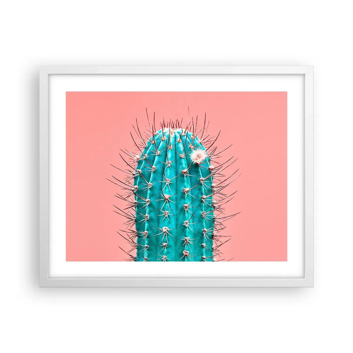 Plakát v bílém rámu - Jen koukej - 50x40 cm