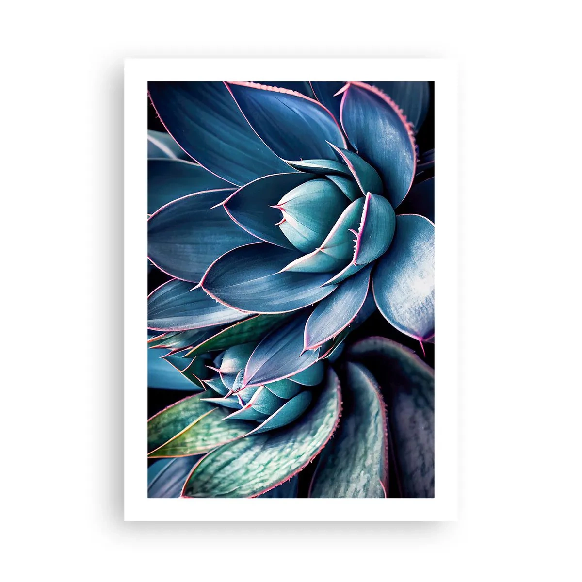 Plakát - Vitální síla - 50x70 cm