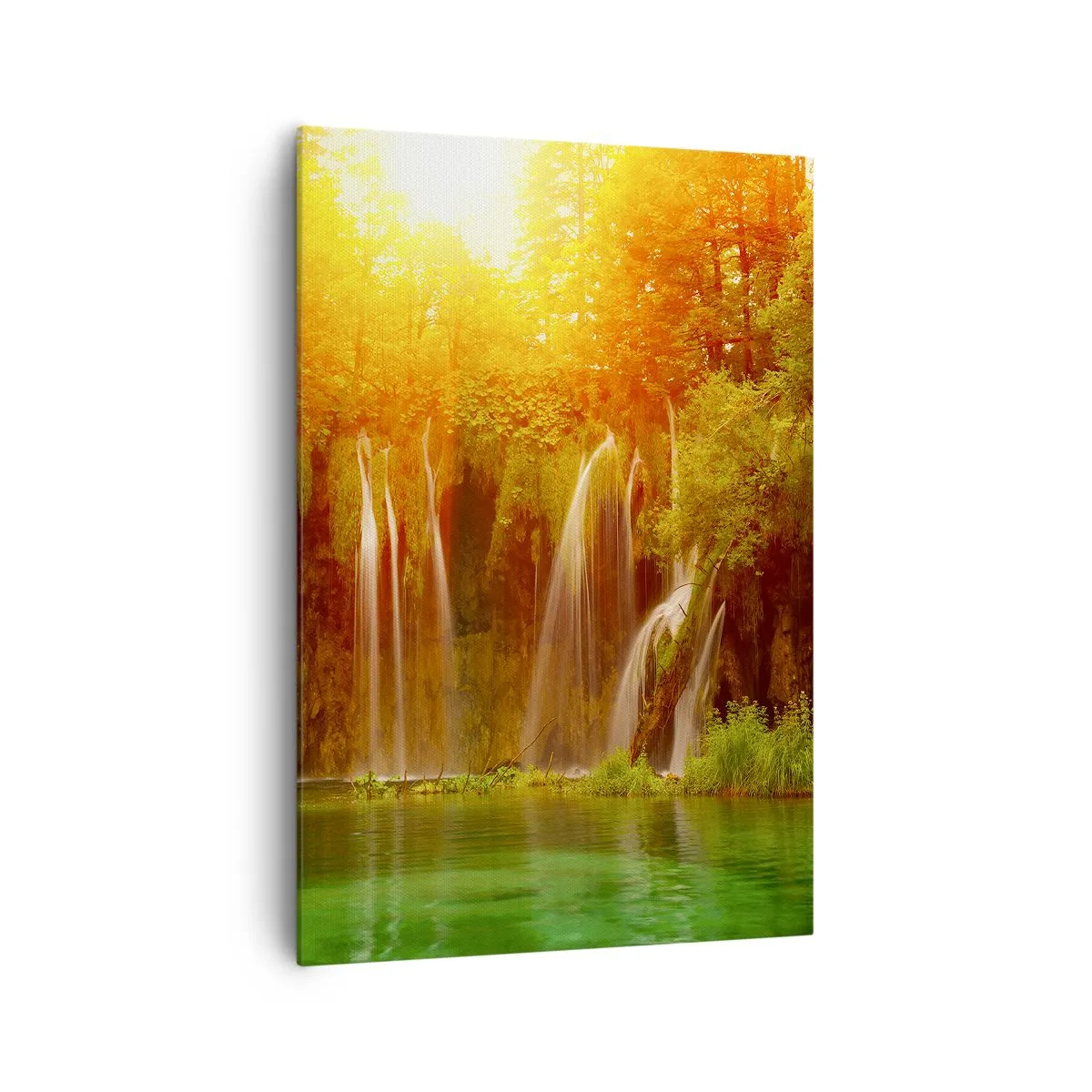 Obraz na plátně - Na sluncí a ve stínu - 70x100 cm