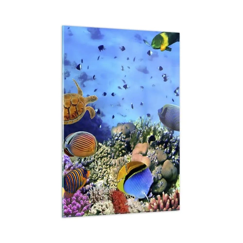 Obraz na skle - Co víme o životě… - 80x120 cm