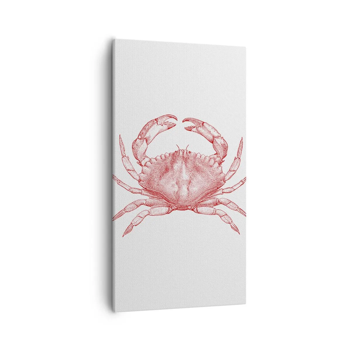 Obraz na plátně - Krab nad kraby - 55x100 cm