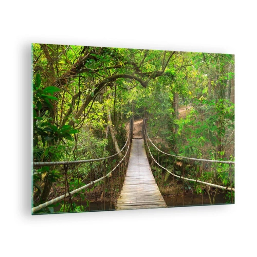 Obraz na skle - Visutý most v tropickém lese - 70x50cm - Protože na zahradě rostou popínavé rostliny - Moderní nástěnná dekorace do obývacího pokoje a ložnice ARTTOR