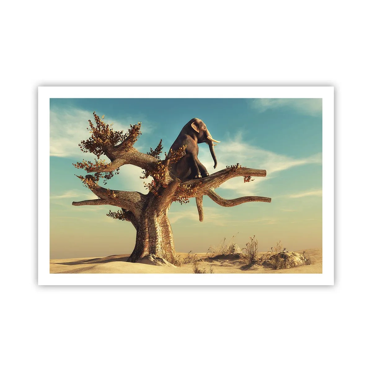 Plakát - Nový úhel pohledu - 91x61 cm