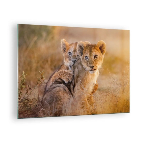 Obraz na skle - Dvě mladá lvíčata v přírodním prostředí savany - 70x50cm - Nevyrušovat! Hrajme si - Moderní nástěnná dekorace do obývacího pokoje a ložnice ARTTOR
