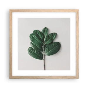 Plakát v rámu světlý dub - Kresba samotné přírody - 40x40 cm