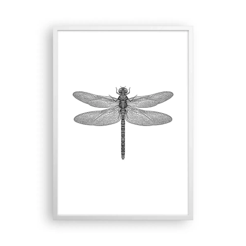 Plakát v bílém rámu - Přesnost přírody - 50x70 cm